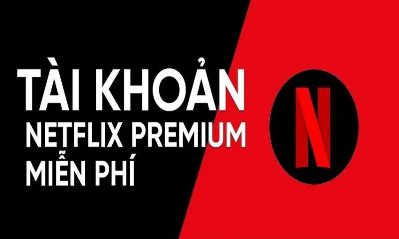 Acc netflix lậu là gì? Mua Acc Netflix Giá Chỉ 15.000Đ