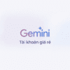 tai-khoan-gemini-gia-re