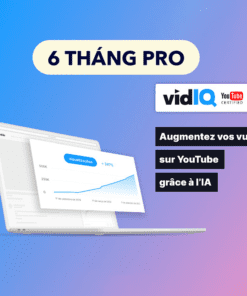 Tài khoản vidIQ Pro 6 tháng