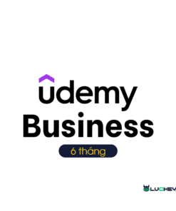 tài khoản udemy business